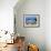 A Diver Hovers over a School of Grunts and Snappers on a Caribbean Reef-null-Framed Photographic Print displayed on a wall