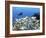 A Diver Hovers over a School of Grunts and Snappers on a Caribbean Reef-null-Framed Photographic Print