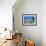 A Diver Hovers over a School of Grunts and Snappers on a Caribbean Reef-null-Framed Photographic Print displayed on a wall