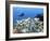 A Diver Hovers over a School of Grunts and Snappers on a Caribbean Reef-null-Framed Photographic Print