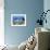 A Diver Hovers over a School of Grunts and Snappers on a Caribbean Reef-null-Framed Photographic Print displayed on a wall