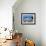 A Diver Hovers over a School of Grunts and Snappers on a Caribbean Reef-null-Framed Photographic Print displayed on a wall