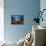 A Diver Looks On at a Colorful Reef with Sea Fans, Solomon Islands-Stocktrek Images-Framed Premier Image Canvas displayed on a wall