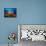 A Diver Looks On at a Colorful Reef with Sea Fans, Solomon Islands-Stocktrek Images-Framed Premier Image Canvas displayed on a wall