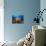 A Diver Looks On at a Colorful Reef with Sea Fans, Solomon Islands-Stocktrek Images-Photographic Print displayed on a wall