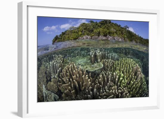 A Diverse Array of Reef-Building Corals in Raja Ampat, Indonesia-Stocktrek Images-Framed Photographic Print