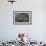 A Diverse Array of Reef-Building Corals in Raja Ampat, Indonesia-Stocktrek Images-Framed Photographic Print displayed on a wall