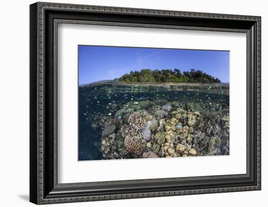 A Diverse Coral Reef Grows in Shallow Water in the Solomon Islands-Stocktrek Images-Framed Photographic Print