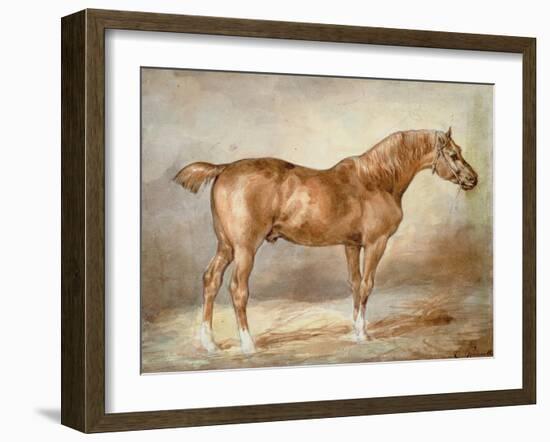 A Docked Chestnut Horse-Theodore Gericault-Framed Giclee Print