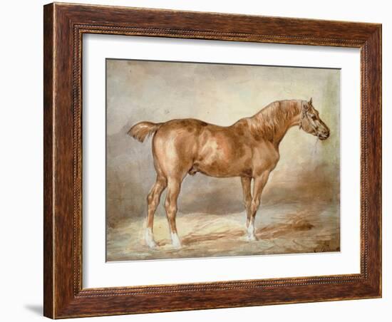 A Docked Chestnut Horse-Theodore Gericault-Framed Giclee Print