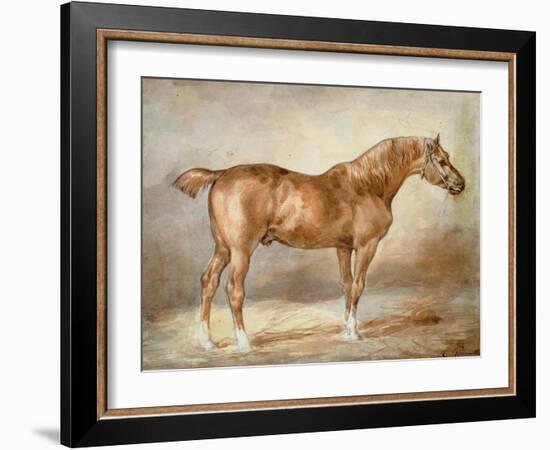 A Docked Chestnut Horse-Theodore Gericault-Framed Giclee Print