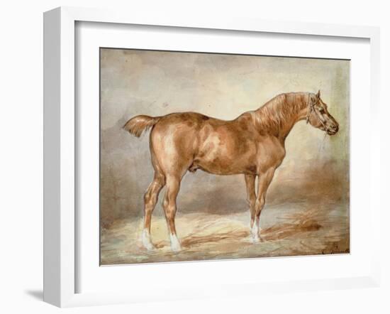 A Docked Chestnut Horse-Theodore Gericault-Framed Giclee Print