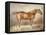 A Docked Chestnut Horse-Theodore Gericault-Framed Premier Image Canvas