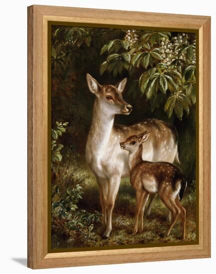 A Doe with Her Fawn-Samuel John Carter-Framed Premier Image Canvas