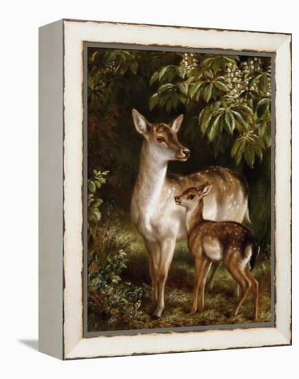 A Doe with Her Fawn-Samuel John Carter-Framed Premier Image Canvas