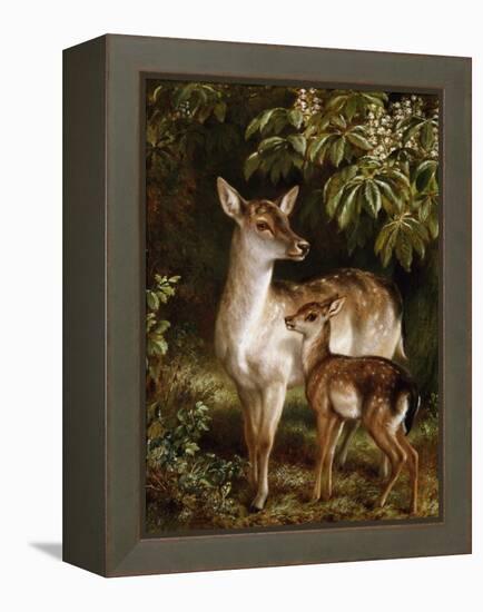 A Doe with Her Fawn-Samuel John Carter-Framed Premier Image Canvas