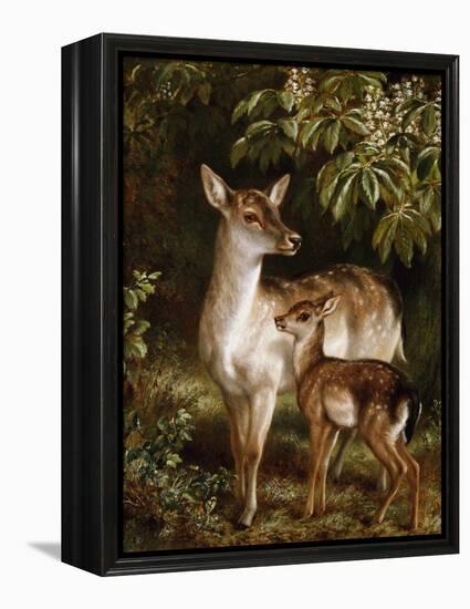 A Doe with Her Fawn-Samuel John Carter-Framed Premier Image Canvas