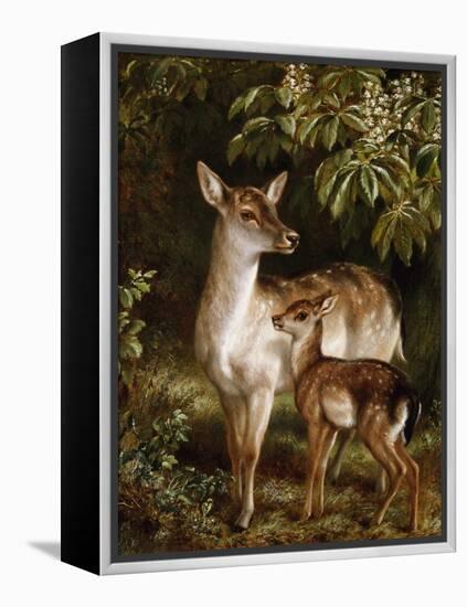 A Doe with Her Fawn-Samuel John Carter-Framed Premier Image Canvas