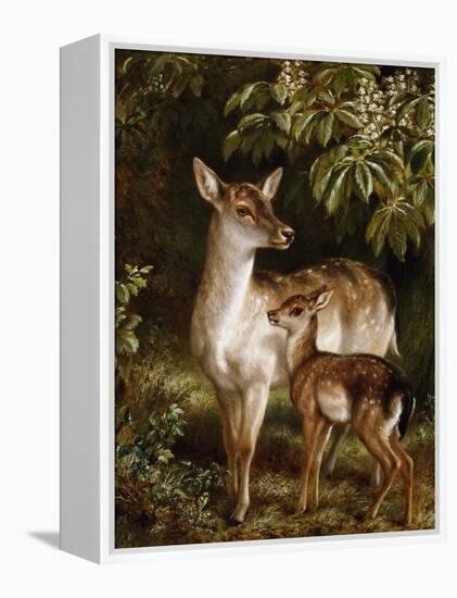 A Doe with Her Fawn-Samuel John Carter-Framed Premier Image Canvas