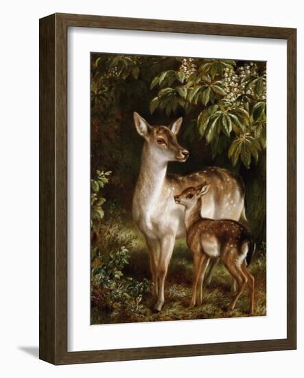 A Doe with Her Fawn-Samuel John Carter-Framed Giclee Print