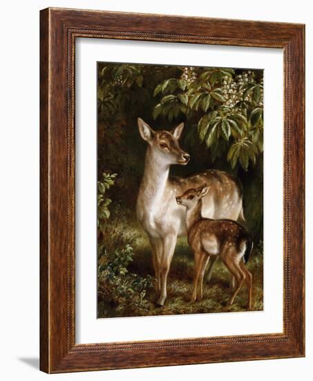 A Doe with Her Fawn-Samuel John Carter-Framed Giclee Print