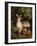 A Doe with Her Fawn-Samuel John Carter-Framed Giclee Print