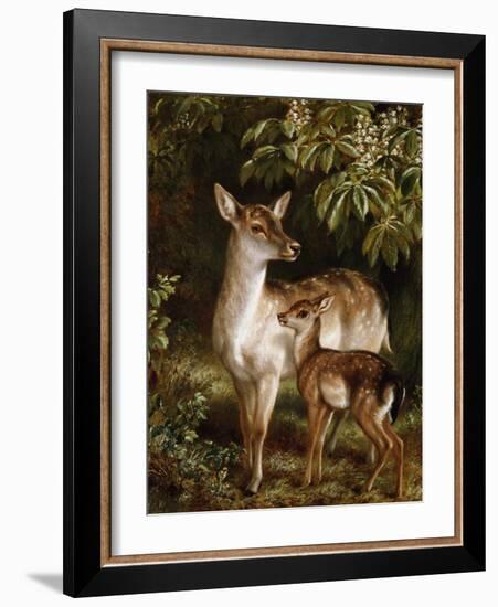 A Doe with Her Fawn-Samuel John Carter-Framed Giclee Print