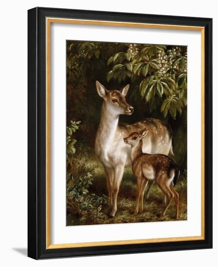 A Doe with Her Fawn-Samuel John Carter-Framed Giclee Print