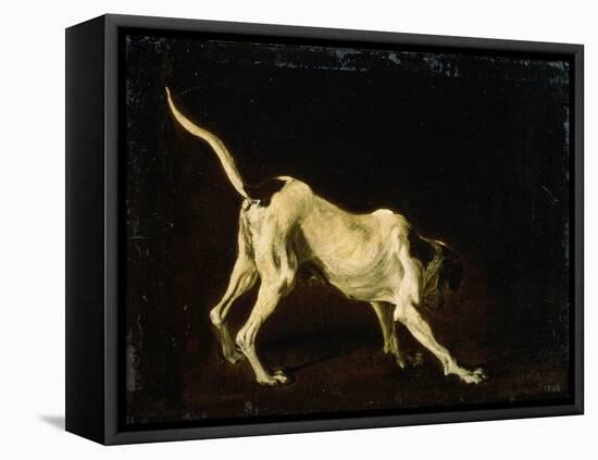A Dog, 17th Century-Frans Snyders-Framed Premier Image Canvas