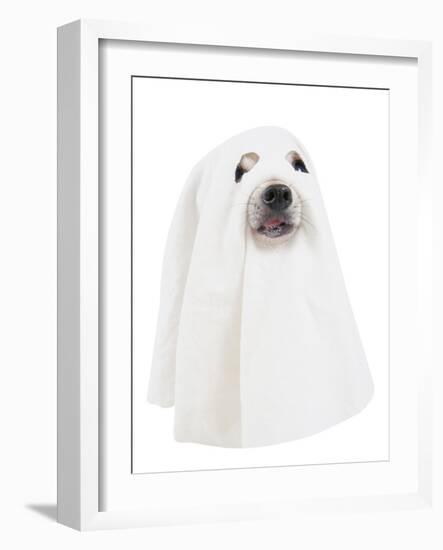 A Dog Dressed Up as a Spooky Ghost-graphicphoto-Framed Photographic Print