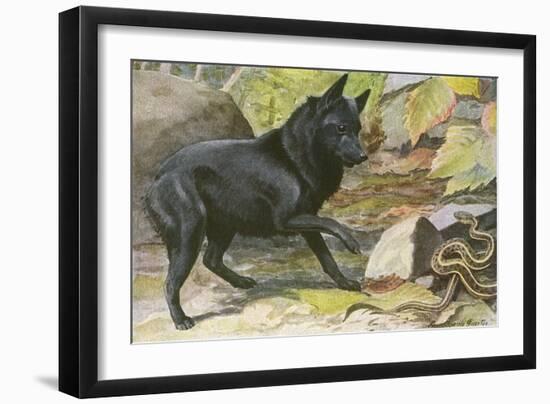 A Dog Encounters a Snake-null-Framed Art Print