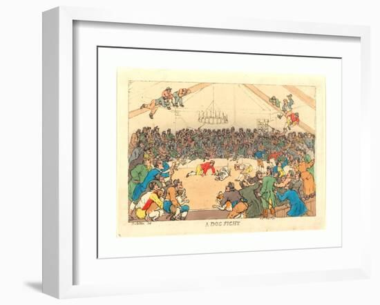 A Dog Fight, 1811-Thomas Rowlandson-Framed Giclee Print