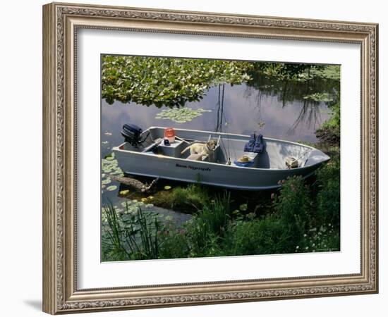 A Dog in a Boat on a Pond-null-Framed Photographic Print