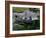 A Dog in a Boat on a Pond-null-Framed Photographic Print