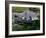 A Dog in a Boat on a Pond-null-Framed Photographic Print