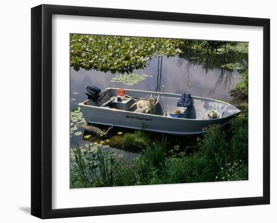 A Dog in a Boat on a Pond-null-Framed Photographic Print