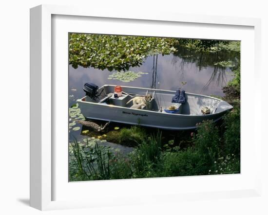 A Dog in a Boat on a Pond-null-Framed Photographic Print