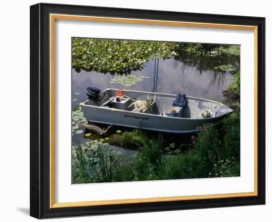 A Dog in a Boat on a Pond-null-Framed Photographic Print