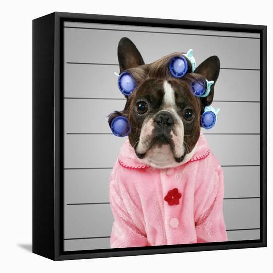 A Dog In Front Of A Convict Poster Getting A Mug Shot Taken-graphicphoto-Framed Premier Image Canvas