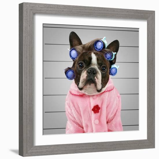 A Dog In Front Of A Convict Poster Getting A Mug Shot Taken-graphicphoto-Framed Photographic Print