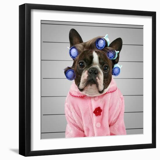 A Dog In Front Of A Convict Poster Getting A Mug Shot Taken-graphicphoto-Framed Photographic Print