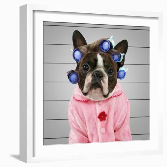 A Dog In Front Of A Convict Poster Getting A Mug Shot Taken-graphicphoto-Framed Photographic Print
