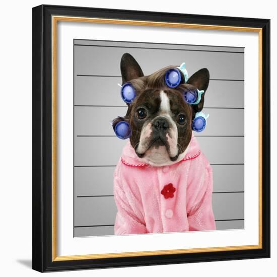 A Dog In Front Of A Convict Poster Getting A Mug Shot Taken-graphicphoto-Framed Photographic Print