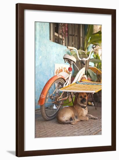 A Dog's Life IV-Karyn Millet-Framed Photographic Print