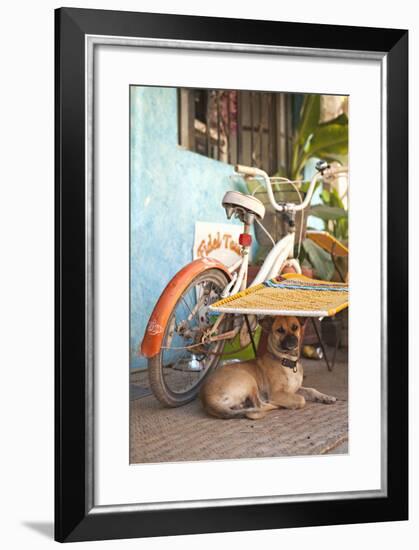 A Dog's Life IV-Karyn Millet-Framed Photographic Print