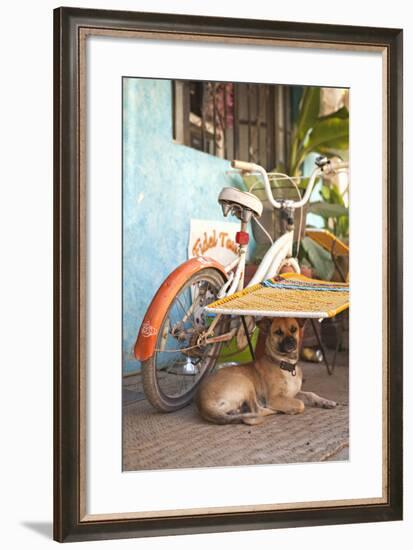 A Dog's Life IV-Karyn Millet-Framed Photographic Print