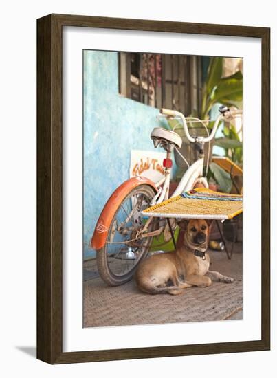 A Dog's Life IV-Karyn Millet-Framed Photographic Print