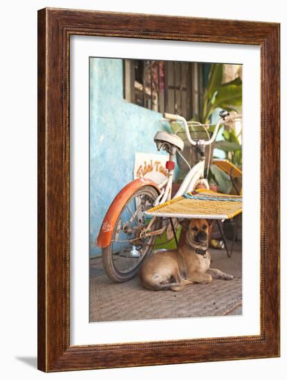 A Dog's Life IV-Karyn Millet-Framed Photographic Print