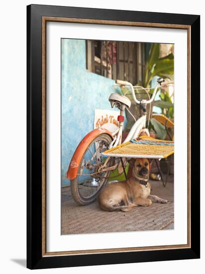 A Dog's Life IV-Karyn Millet-Framed Photographic Print