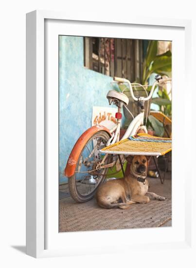 A Dog's Life IV-Karyn Millet-Framed Photographic Print